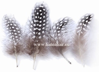 Feather chicken, color: Natural