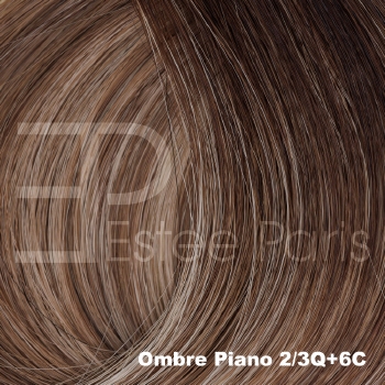 Halo Clip-In Extensions, kleur: 2/3Q+6C (Ombre Lichtbruin + blond met bruine roots)
