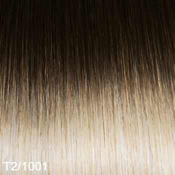 MAX Glatt extensions 60 cm., Farbe: T2/1001
