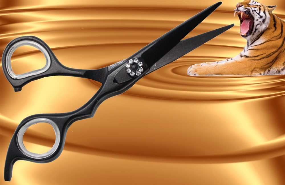 Scissor Stainless Steel 56-60 norm. 5,5"