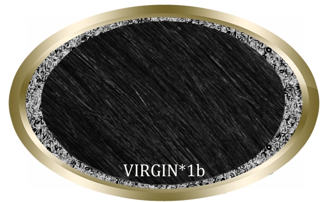VIRGIN GOLDLINE natural straight 50 cm., color 1B