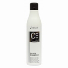 CARIN 250 MLCOLOR ESSENTIALS NEW SILVER SHAMPOO-250 ML.