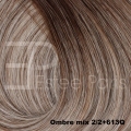Estee Paris Genius weft 50 cm., Color: 2/2+613Q OMBRE