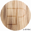 Estee Paris Tape extensions 20 cm. kleur:  2-16-60C-MIX