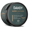 Dandy Water Pomade