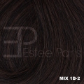 Estee Paris extensions 40 cm. Color: 1B/2 MIX