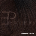 Estee Paris extensions 50 cm. Color: Ombre 1B/1A