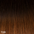 MAX Glatt extensions 40 cm., Farbe: T2/6