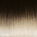 MAX Glatt extensions 40 cm., Farbe: T2/1001