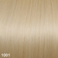 MAX Glatt extensions 50 cm., Farbe: 1001