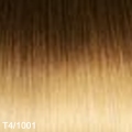 MAX Glatt extensions 50 cm., Farbe: T4/1001