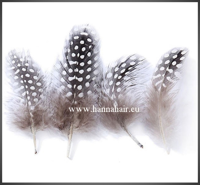 Feathers (veertjes)